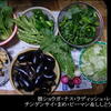 お野菜たくさん食べましょう～＾＾