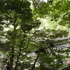 山の根　熊野神社