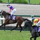 第66回宝塚記念2025の結果をお知らせします