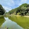 【島田市大草】大草（飯米場）の池のオススメ情報！！