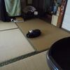 なんか落ちてる