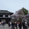 勝俣部長の「ため息」１５２１････町の　風物詩