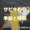 【サビキ釣り】ボウズを回避！アジ・イワシがよく釣れる季節と時間！