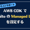 AWS CDK で Cognito の Managed Login を設定する