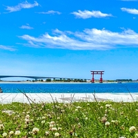 【旅スノ⑥】旅するSnow Man(スノーマン) 静岡のロケ地一覧。浜松城～浜松餃子のお店～浜名湖～おでん&花火を楽しんだホテルの場所はどこ？料金は？予約方法まとめ