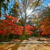 【益子】益子の名刹にて紅葉を愛で撮る。 益子町円通寺 November 2018