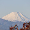 富士山の雪