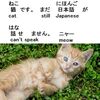 Small Poems to Learn Japanese: KANJI