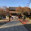 久しぶりの本門寺散策