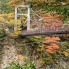 紅葉　鷹の巣つり橋　　　キジハタのちり鍋