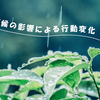 長崎県 天候の影響による行動変化