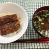 特定健診とうなぎと重版と