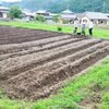 黒豆畑の畝立てしました（2015年6月7日）