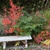 １０月の例会案内