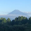 今朝の景色