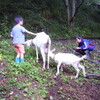 　教育の原点
