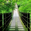 新録が美しい花貫渓谷へ！初夏の淵沿いや汐見滝吊り橋を散策しよう【茨城・高萩市】