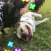 溢れてやまない