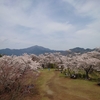 桜を見に弘法山へ低山縦走