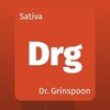 大麻の種類 Dr. Grinspoon ドクターグリンスプーン