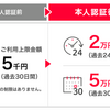 PayPay初心者、「現在ご利用を制限しております」で大慌て。原因と対処法は？