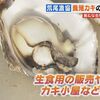 有明海の干潟で養殖した｢荒尾かき｣試験販売