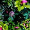 路傍の風景・・＃226