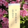 2025年5月のおついたち「天 我が材を生ず 必ず用有り」