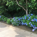 marutetsukitachiba2のブログ