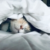 睡眠時間を確保するための7つの具体的な方法【質の高い睡眠を手に入れよう】