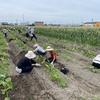 R5年6月25日