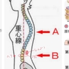 腰抜け喉抜け。。甲状腺、声が出にくい