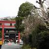 2016梅宮神社のニャンコ（Ⅰ）