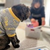 寝かしつけごはしっぽり。