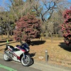 乗りやすく旋回性の高いVFR800Fの味わい。