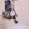 顎外れたらやばいからね！！！！