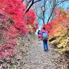 福島、最終日⭐︎ 山登りとワークと虹と