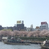 のんびり屋形船で東京の桜巡りキャンペーン