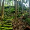熊野古道・本宮道が通る一族山へ
