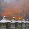 紅葉を見に、雲辺寺・箸蔵寺へ