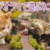 "鉄道ジオラマで遊ぶネコたち" を YouTube で見る