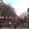 【中目黒サクラ情報】2016年3月29日（火）駅前はまだだけど池尻方面にかけては咲いてます。