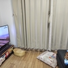 また、テレビが壊れたかと思った
