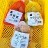 ジャガイモの種イモ準備、青梗菜のオイスター炒め！