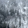 ありがとう、富山！