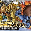 【DQMSL】「百獣の王キングレオ」新生転生追加！ヘルゴラゴの獣王の猛撃が上位効果に！