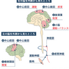 水俣病に関する雑学