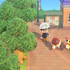 憧れのスローライフ、はじめました『あつまれ どうぶつの森』#31日目