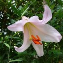 季節の中の花達と