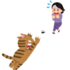 普通のゴキブリ駆除は猫に危険が！猫に安心安全な３つのゴキブリ対策方法